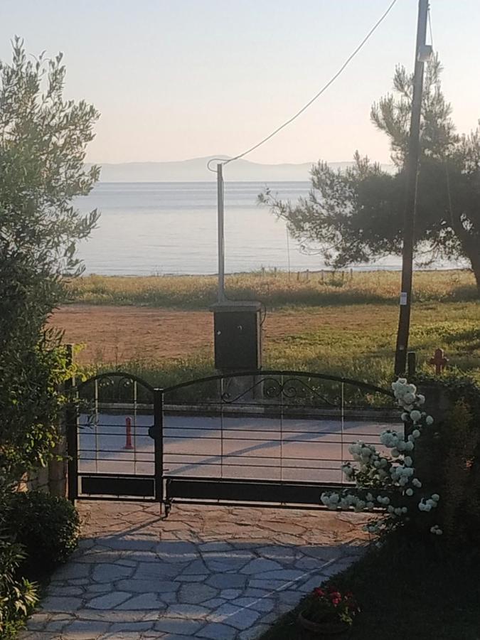 Studios Galanis Afytos Zewnętrze zdjęcie